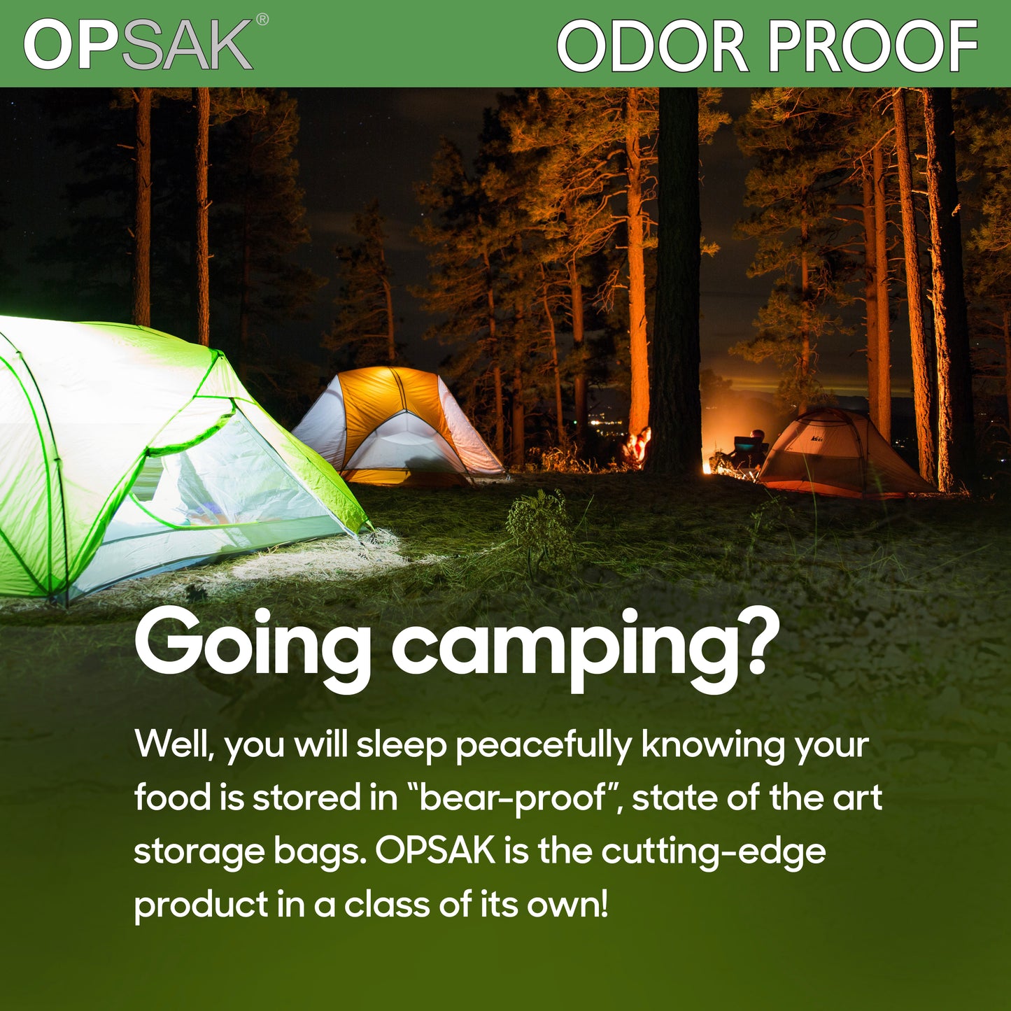 OPSAK Odor-Proof Bag - Assorted (3-Pack)